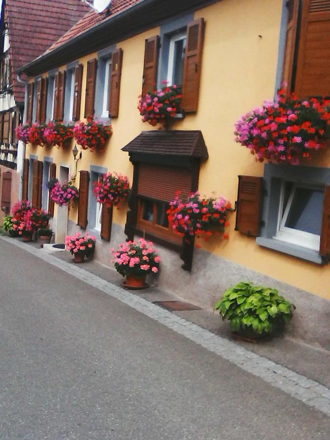 RomanswillerRelais De La Diligence公寓 外观 照片